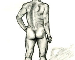 Nude Male