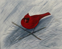 Misplaced Cardinal